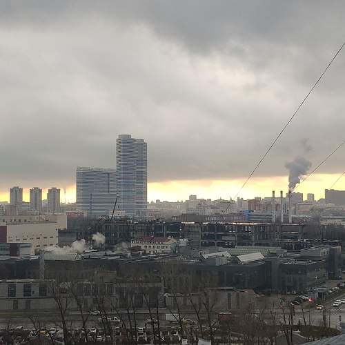 Photo #10020744