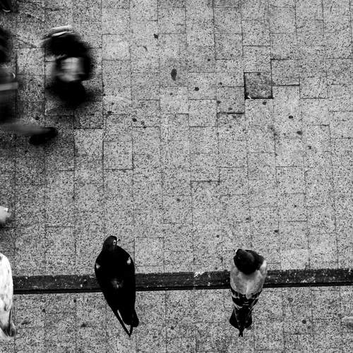 Photo #10020768