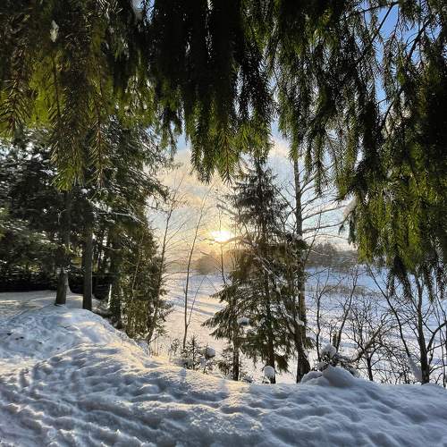 Photo #10020849