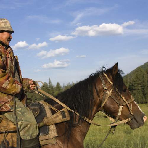 Photo #10020950