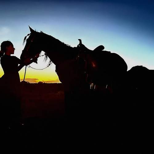 Photo #10021035