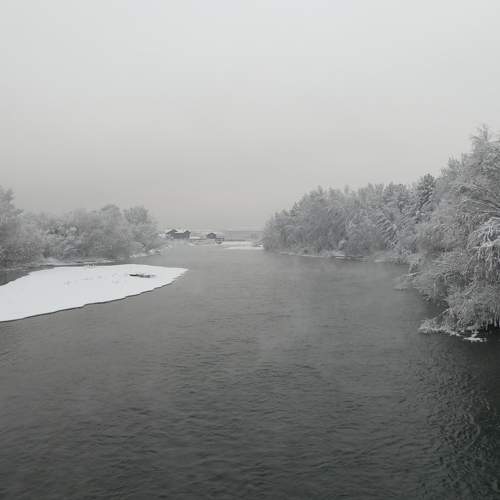 Photo #10021075