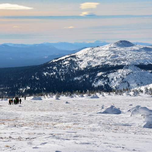 Photo #10021318