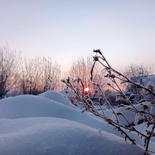 Photo #10021473
