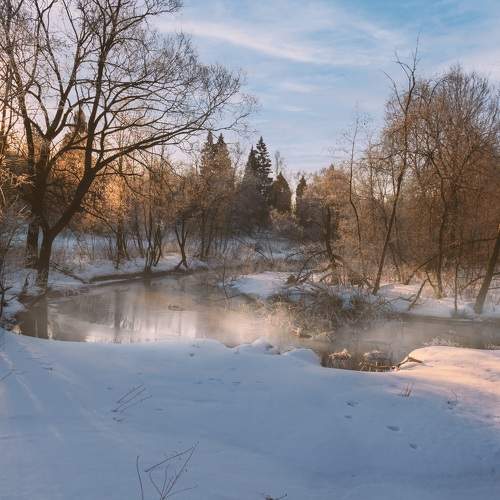Photo #10021613