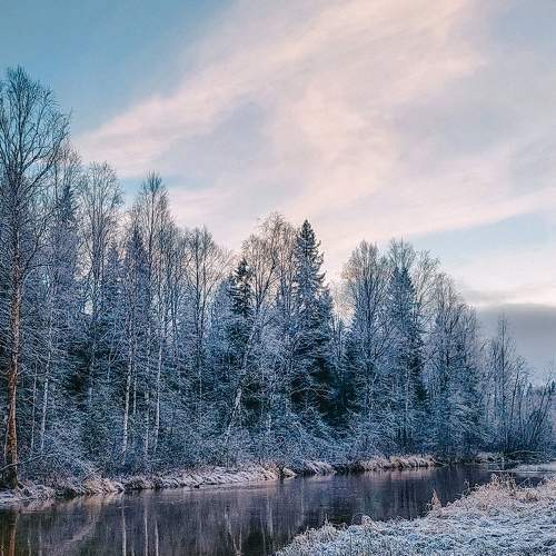 Photo #10021805