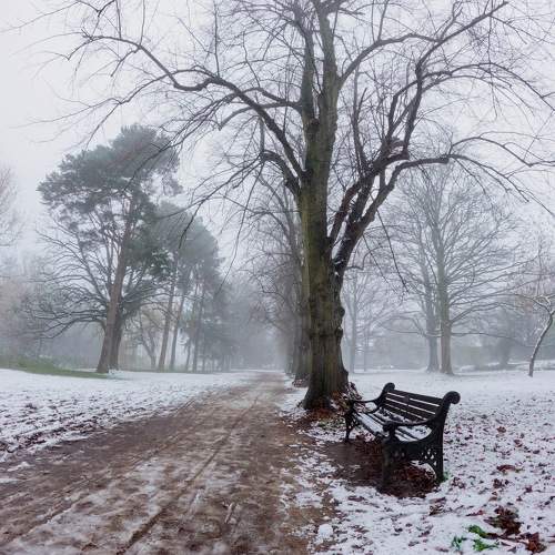 Photo #10022190