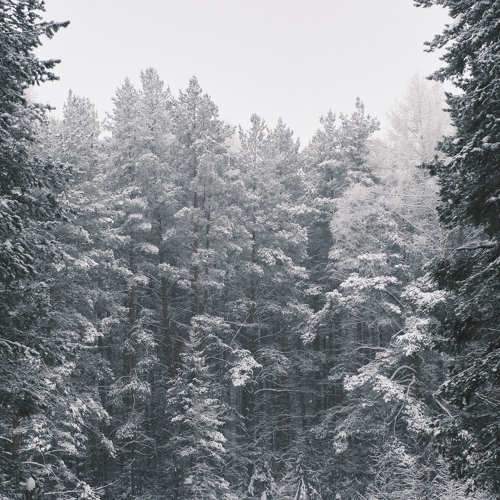 Photo #10022217