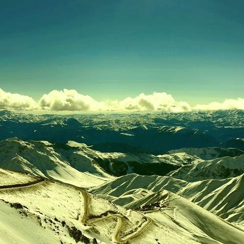 Photo #10022342