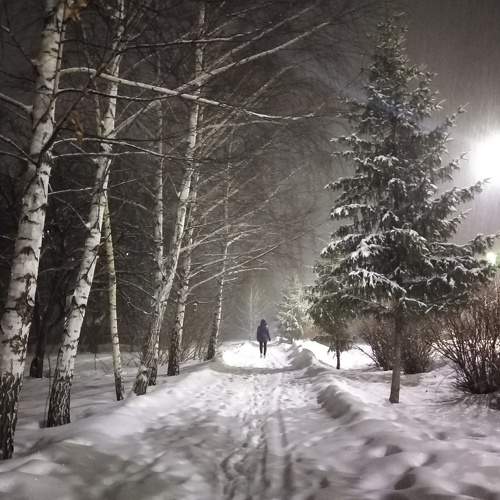 Photo #10022648