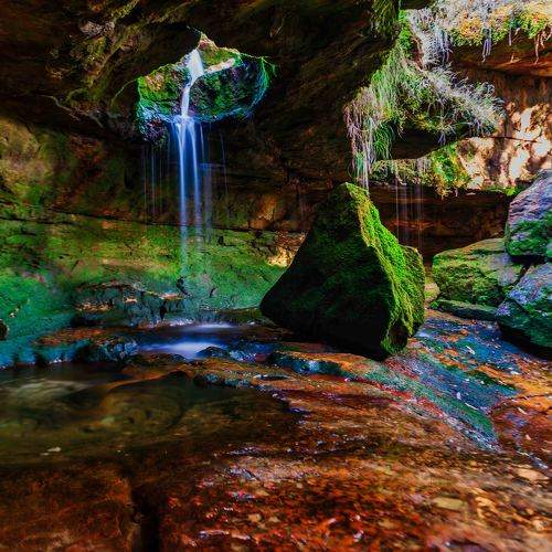 Фотография #10023350