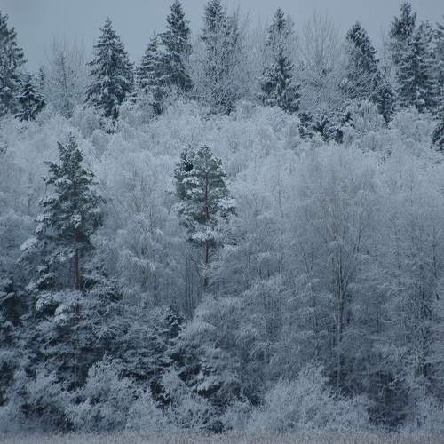 Photo #10023497