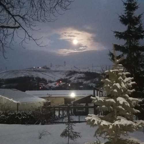 Photo #10023518