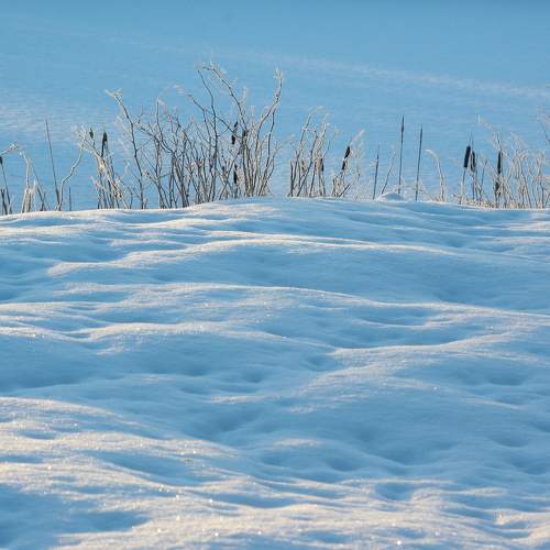 Photo #10023520