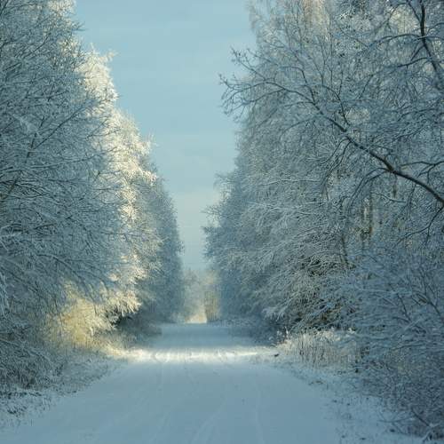Photo #10023529