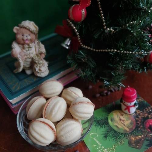 Photo #10023537