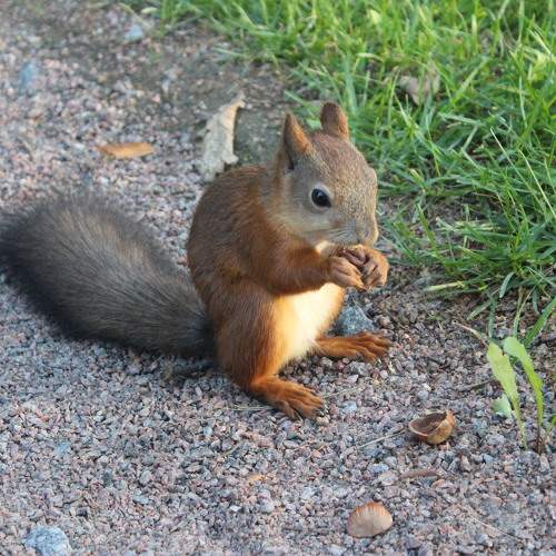 Photo #10023668