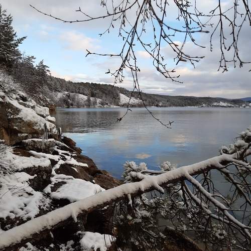 Photo #10023800