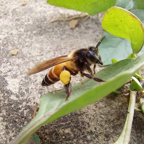 Photo #10023871