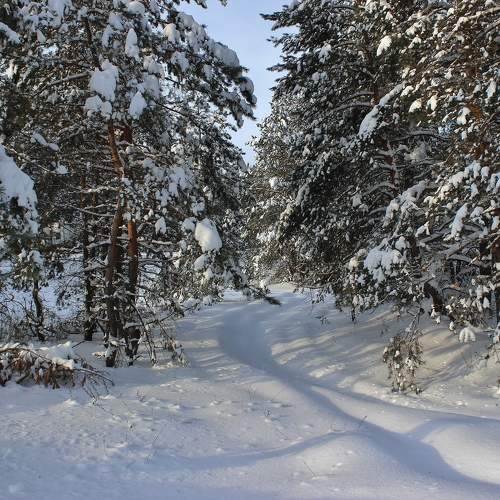 Photo #10024114