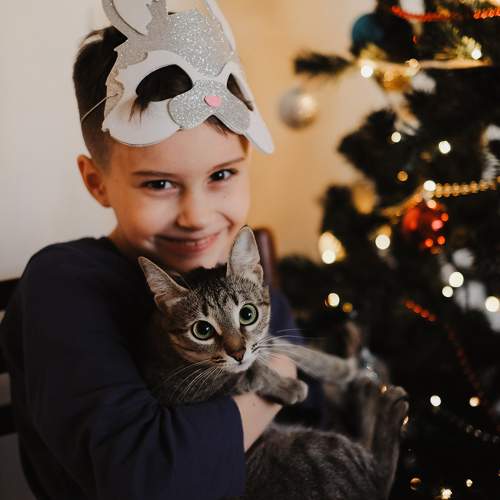Photo #10024151