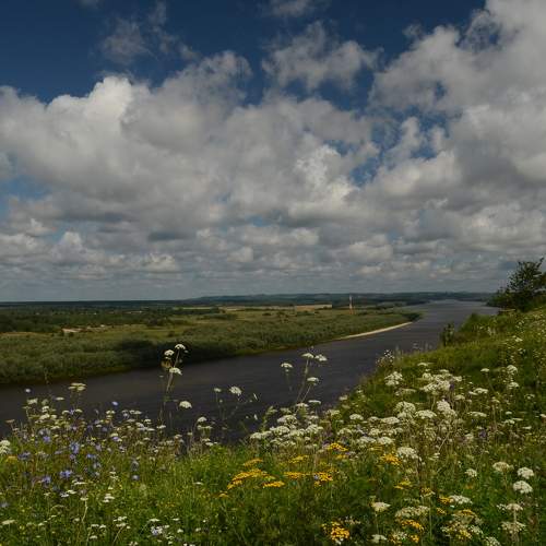 Photo #10024447