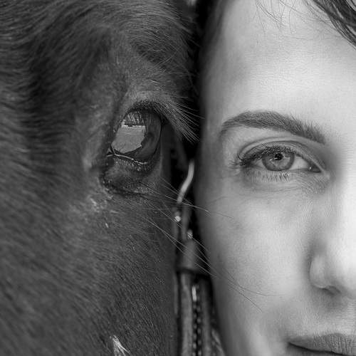 Фотография #10025098