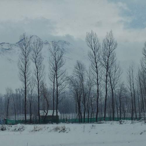 Photo #10026065