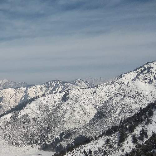 Photo #10026068