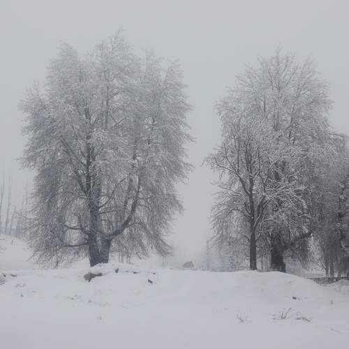 Photo #10026090