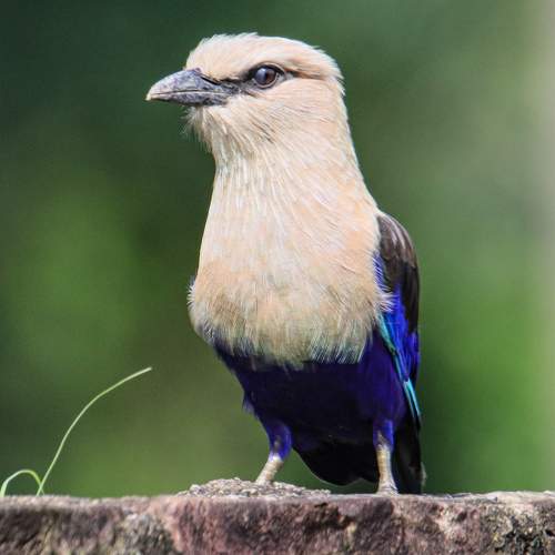 Photo #10026372