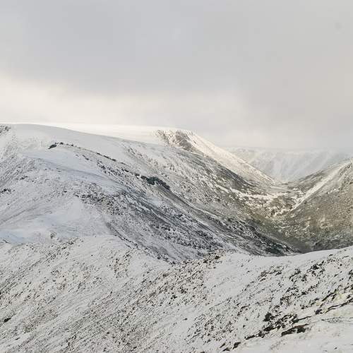 Photo #10026409