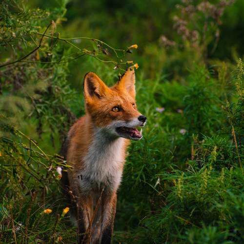 Photo #10026582