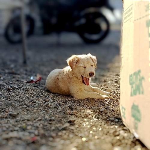 Photo #10026606