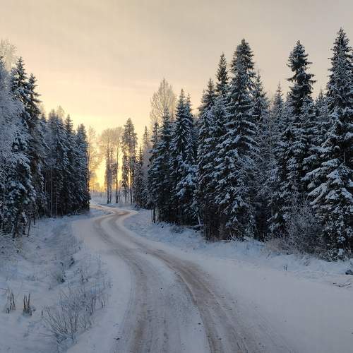 Photo #10026735