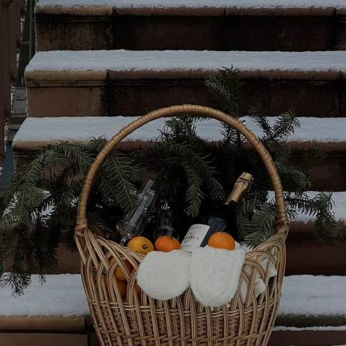 Photo #10026794