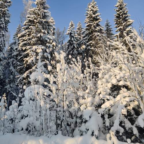Photo #10026863