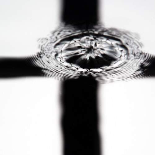 Photo #10026896