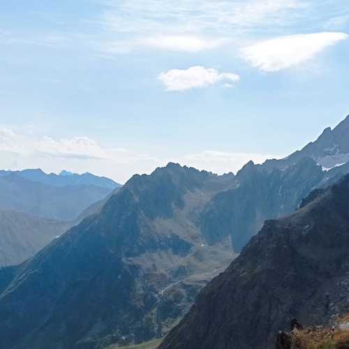 Photo #10027165
