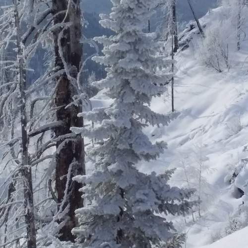 Photo #10027351