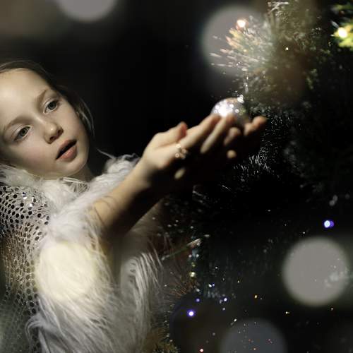 Photo #10028114
