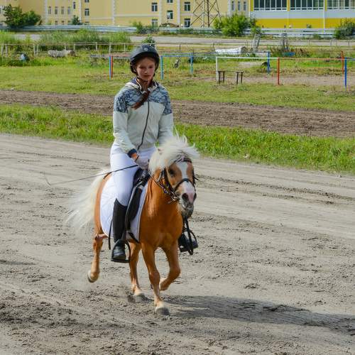 Photo #10028306