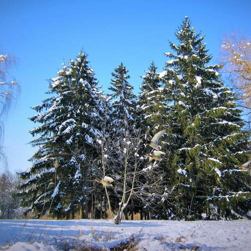 Photo #10028374