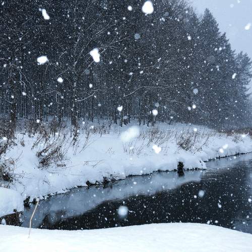 Photo #10028502