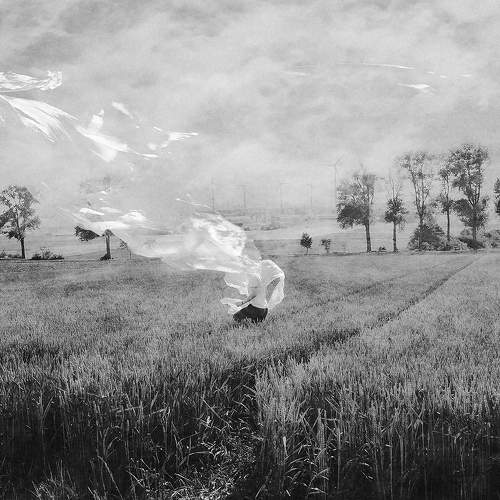 Wandering in the fields