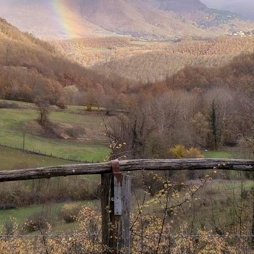 Photo #10029395