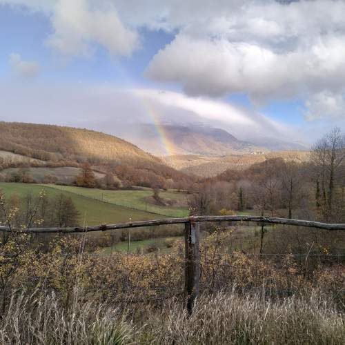 Photo #10029397