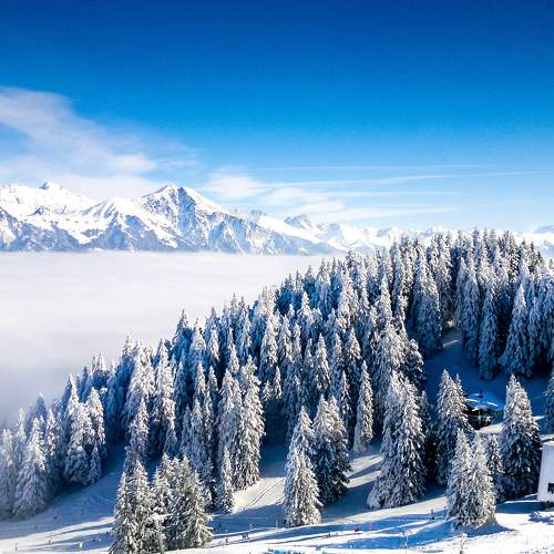 Photo #10029449