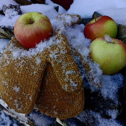 Photo #10029844