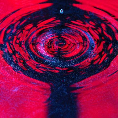 Photo #10029869